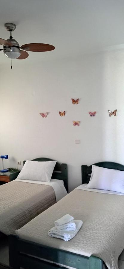 Apartment Lemon Garden