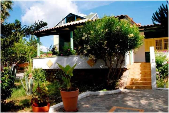 Lemon Garden *